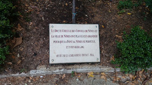 Le Docte Collège Des Consuls De Nîmes