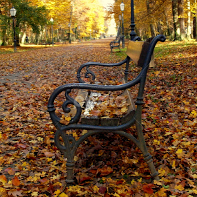 by Mariana Bešker - City,  Street & Park City Parks