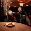 Funny Photos Wallpaper