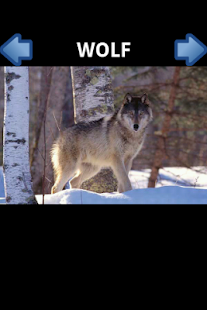 Free Animals ABC APK