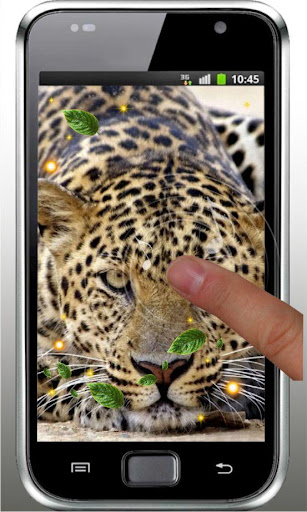 【免費個人化App】Leopards HQ live wallpaper-APP點子