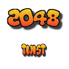 2048 Twist