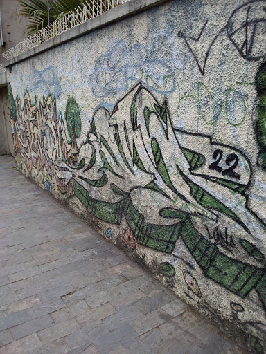 Arte Grafite 1 Siviano Brandão