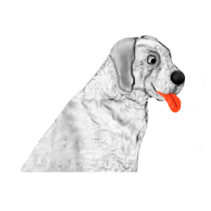 Dog manager 1.0