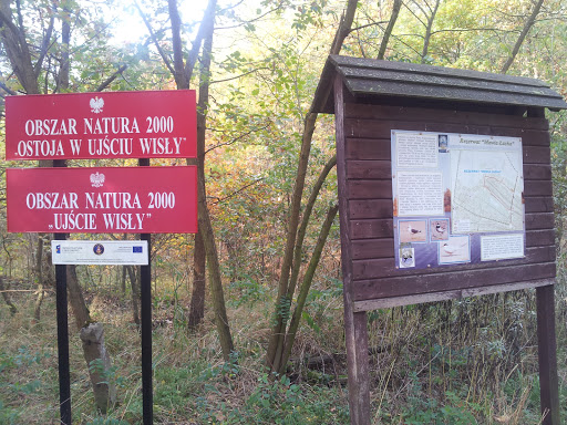 Ujście Wisły - Obszar Natura 2000