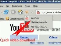 DownloadHelper 