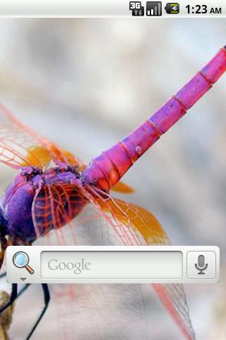 Android application Dragon Fly Live Wallpaper screenshort