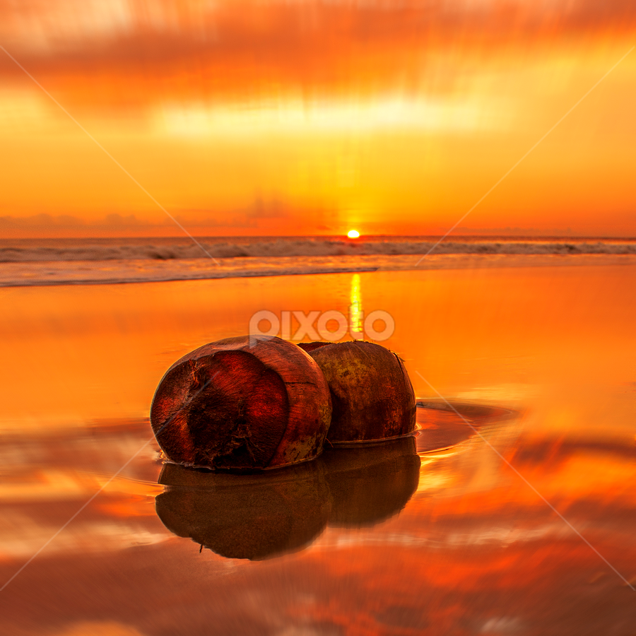 Coconut by Alvendo Aranski - Landscapes Sunsets & Sunrises