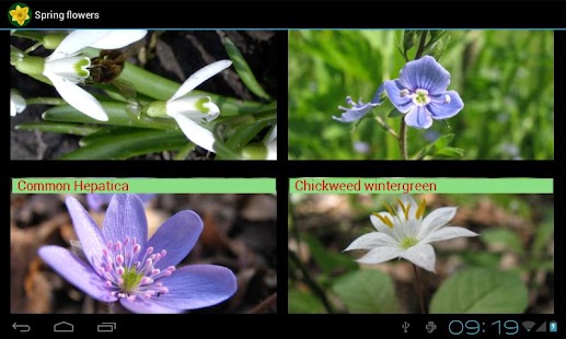 How to mod Spring Flowers lastet apk for laptop