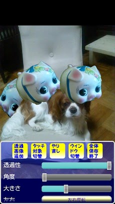 合成写真家のおすすめ画像3