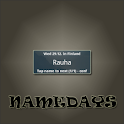Namedays Demo logo