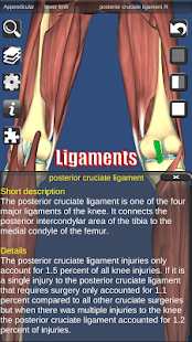 download 3D Anatomy free