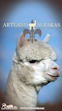 Artland Alpacas APK Download for Android