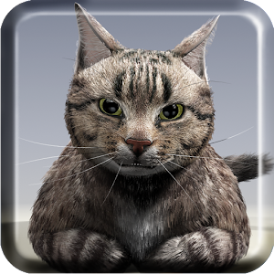 Talking Reality Cat.apk 1.16