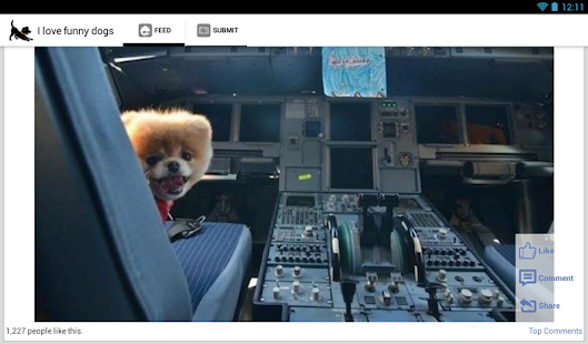 I love funny dogs Screenshots 4