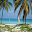 Cuba Download on Windows