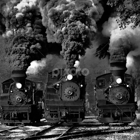 Train Race in BW by Chuck  Gordon  - Black & White Objects & Still Life