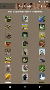 How to get Bird Sounds and Ringtones 1.2 unlimited apk for bluestacks