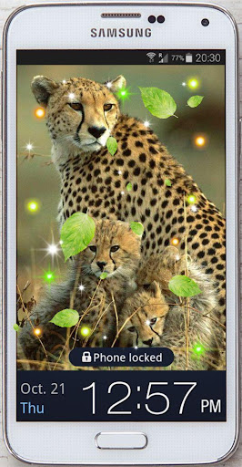 Cheetah African live Wallpaper