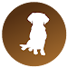 Hole Finder Free Icon