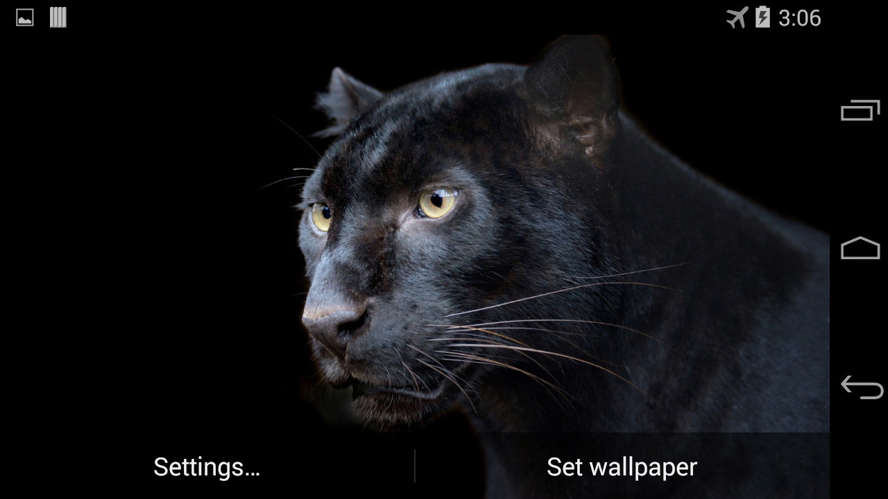 Pantera Live Wallpaper FREE Android Apps On Google Play