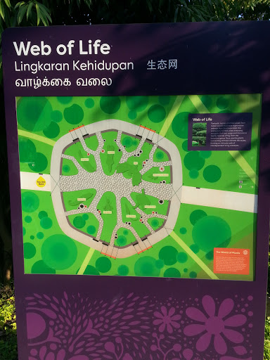 GBTB Web of Life