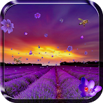 Lavender Live Wallpaper Apk