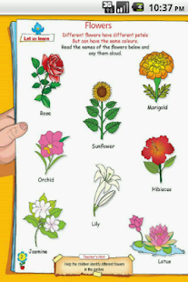 UKG-Flowers Screenshots 1