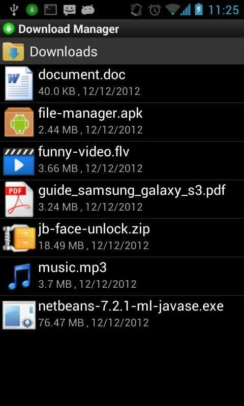 Download Manager - screenshot