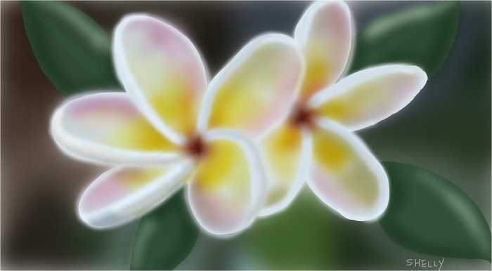 Random Flowers from a Marsh