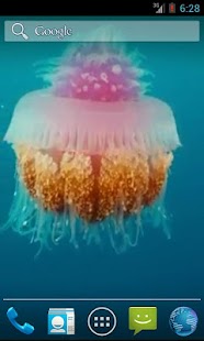 Jellyfish Live Wallpaper