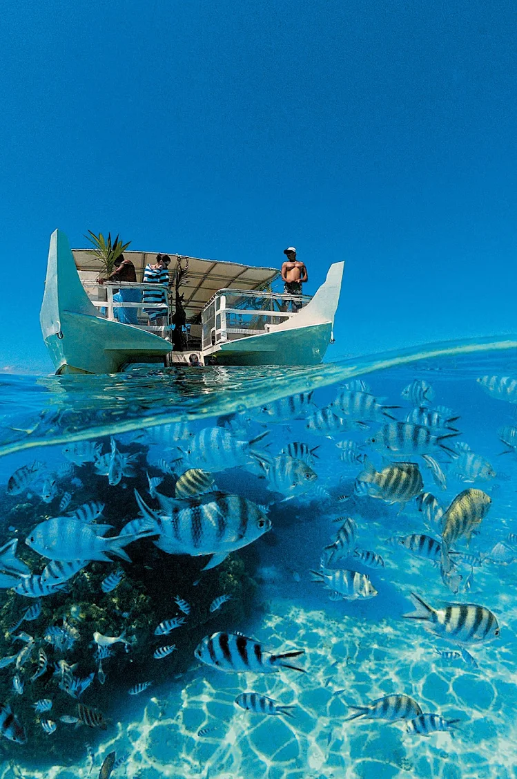 Paul Gauguin prepare for a snorkeling safari aboard a covered snorkeling boat.