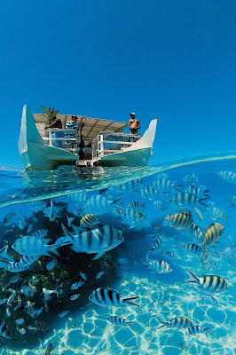 Paul Gauguin prepare for a snorkeling safari aboard a covered snorkeling boat.