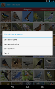 Spanish Birds Sounds Screenshots 14