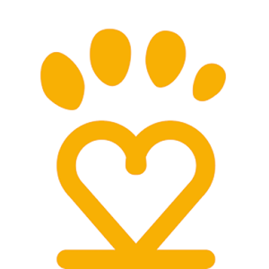 Pet2Pet by Loopin Company Limited - Latest version 0.16b for Android ...