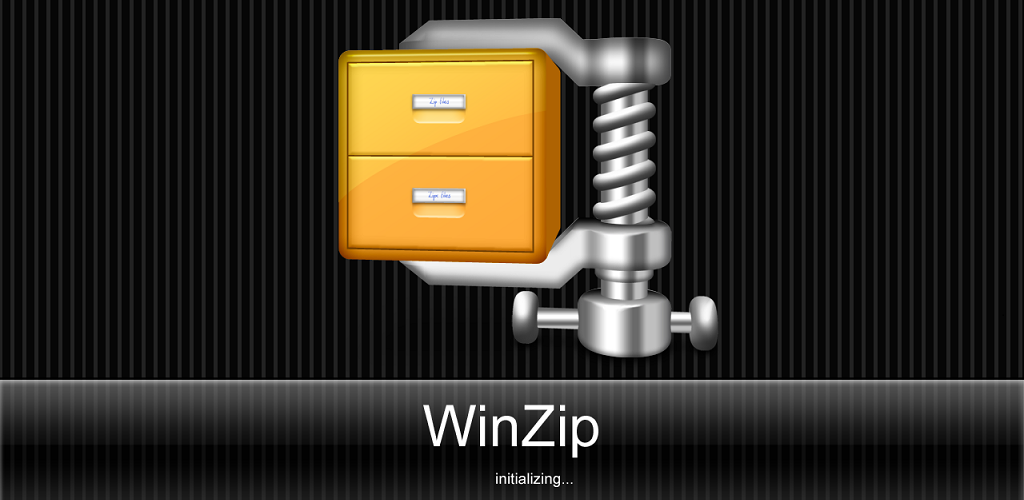 Игры архиватор. WINZIP. Архиватор вин ЗИП. WINZIP фото. WINZIP архиватор логотип.