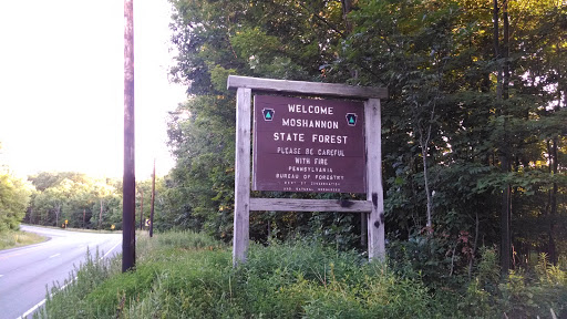 Moshannon State Forest