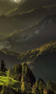 How to download 3D Forest HD Live Wallpaper 1.0 unlimited apk for laptop