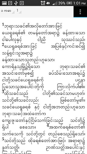 BURMESE BIBLE