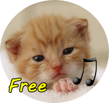 call Cat Screen 1