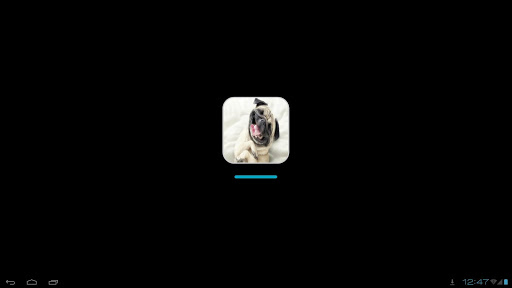 【免費生活App】Dog Breeds First Time Owners-APP點子