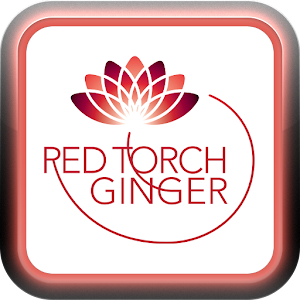 Red Torch Ginger.apk 1.0.0