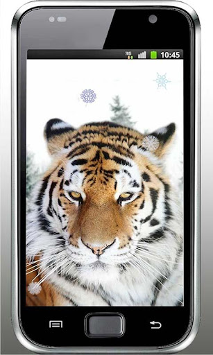 Tiger Wild HD live wallpaper