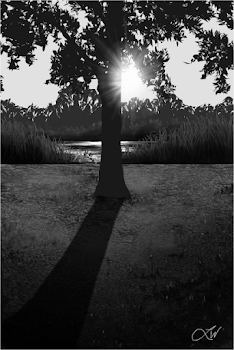 Walk in the Park