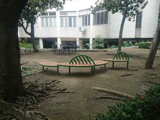 樹葉造型椅