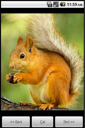 Animals World by Maviay® poster 3