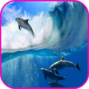 Dolphin Wallpaper.apk 1.0