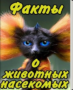 How to get Факты о Животных Насекомых patch 1.0 apk for bluestacks