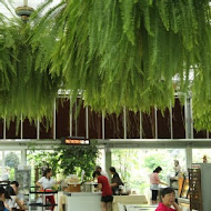 菁芳園 Tenway Garden／花園餐廳／落羽松