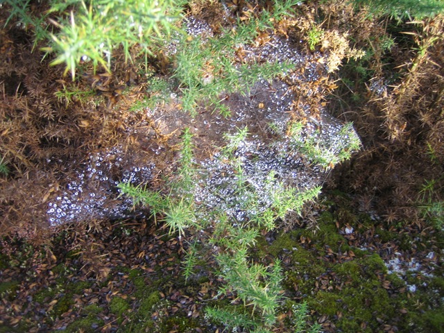 [Via de la Plata 1063[3].jpg]